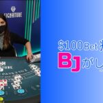 【毎日カジノ132】ゲームを続けてると何故か$100Betしたくなる