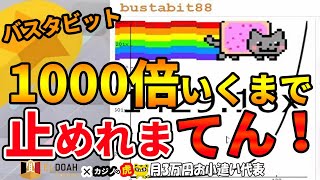 #427【オンラインカジノ｜ライブゲーム🎦】バスタビット！1000倍出るまで止めれまてん！