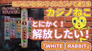 【WHITE RABBIT】とにかく！解放がしたいです！【コツコツオンラインカジノ】