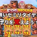 #579【オンラインカジノ｜スロット🎰】収入の無いセミリタイヤなのでそろそろ守りを覚えなければ…｜The Dog House｜金無し痔主セミリタイヤ月3万円お小遣い代表