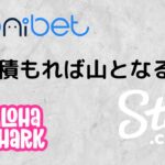 三つ一気にやれば・・・勝てる！！【アロハシャーク&Stake&コニベット】オンラインカジノ