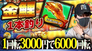 1発10万ドルの釣りスロットをブン回すとこうなる【Big Bass Splash】【kaekae】【オンカジ】