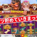 #671【オンラインカジノ｜スロット】The Dog House｜月初なので資金作り！コツコツ貯めていきまっせう！｜金無し痔主セミリタイヤ月3万円お小遣い代表