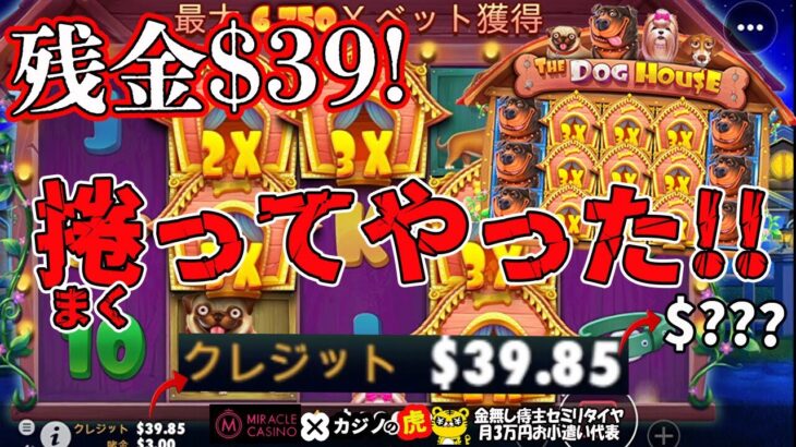 #681【オンラインカジノ｜スロット🎰】残金$39!捲ってやった!!｜The Dog House｜金無し痔主セミリタイヤ月3万円お小遣い代表