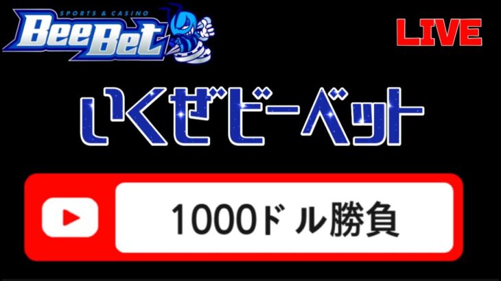 【オンカジ】昨日の分、取り返す1000ドル勝負!!【ビーベット】