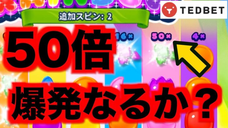 【オンラインカジノ】50倍配当炸裂で爆益？〜テッドベット〜