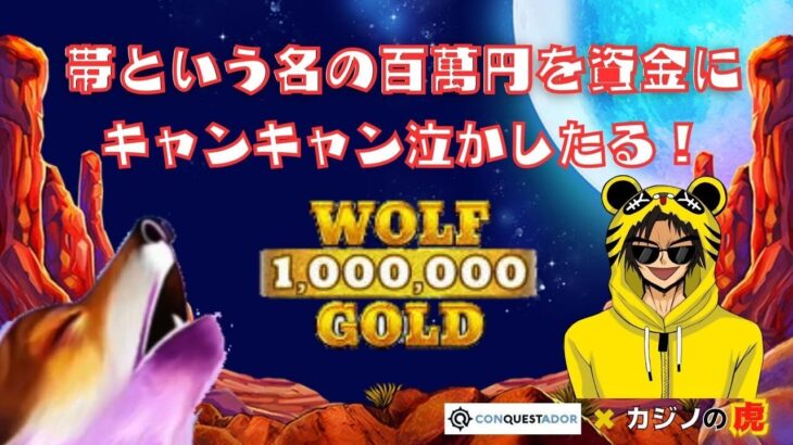 #813【オンラインカジノ｜スロット🎰】Wolf Gold｜帯という名の百萬円を資金にキャンキャン泣かしたる！｜金無し痔主セミリタイヤ月3万円お小遣い代表