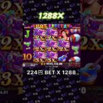 【K8カジノ/ hot fiesta 】224円 BET X 1288 #k8slot #大当たり #仮想通貨オンラインカジノ#bigwin #shorts