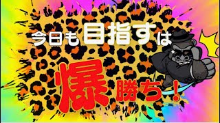 【LIVE】今日も目指すは爆ガチのみ！2000ドル勝負！