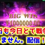 【ネットカジノ】戦争せずにサンダーキックでまったりスロット！！( *´艸｀)【Stake】