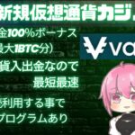 【オンラインカジノ】勝ち組ちゃんのオンカジ配信【vaveカジノ】